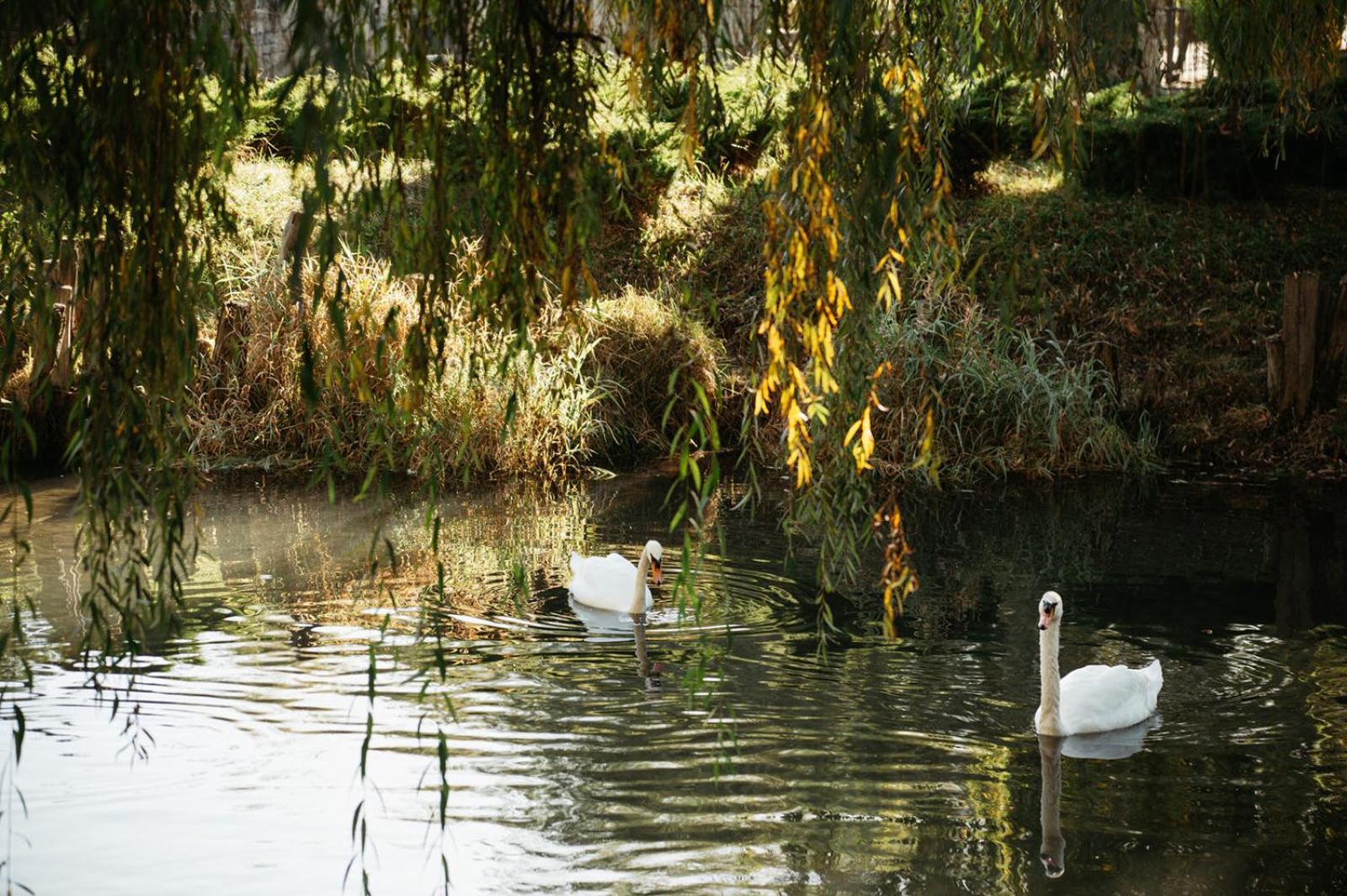Etno Village Cardaci Vitez Dış mekan fotoğraf